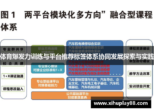 体育爆发力训练与平台推荐标签体系协同发展探索与实践